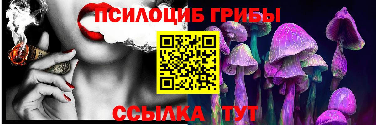 Псилоцибиновые грибы Psilocybine cubensis Клин